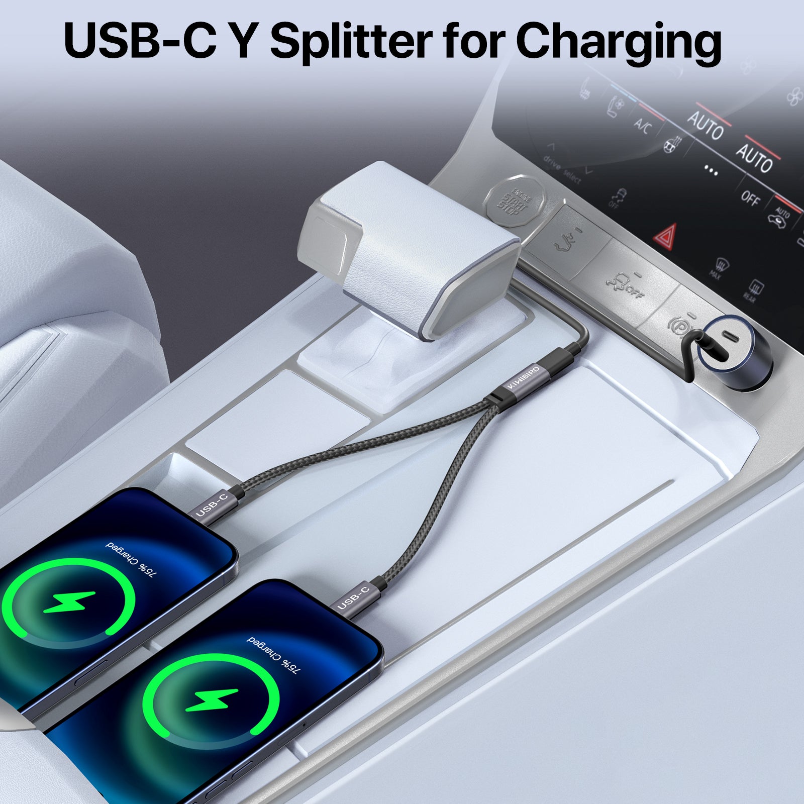 USB C Power Splitter