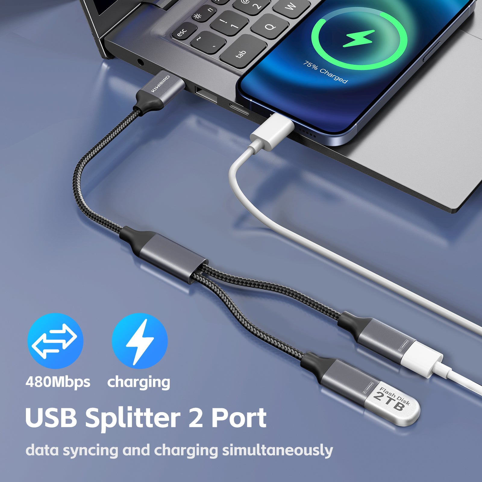 USB Splitter 2 Port(2Pack)