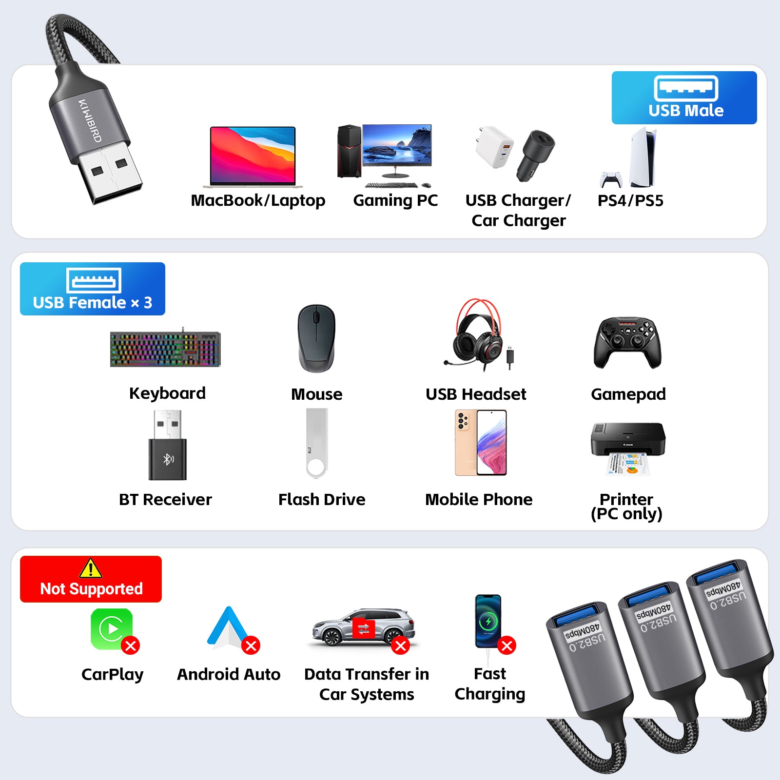 USB Splitter 3 Port (2m)