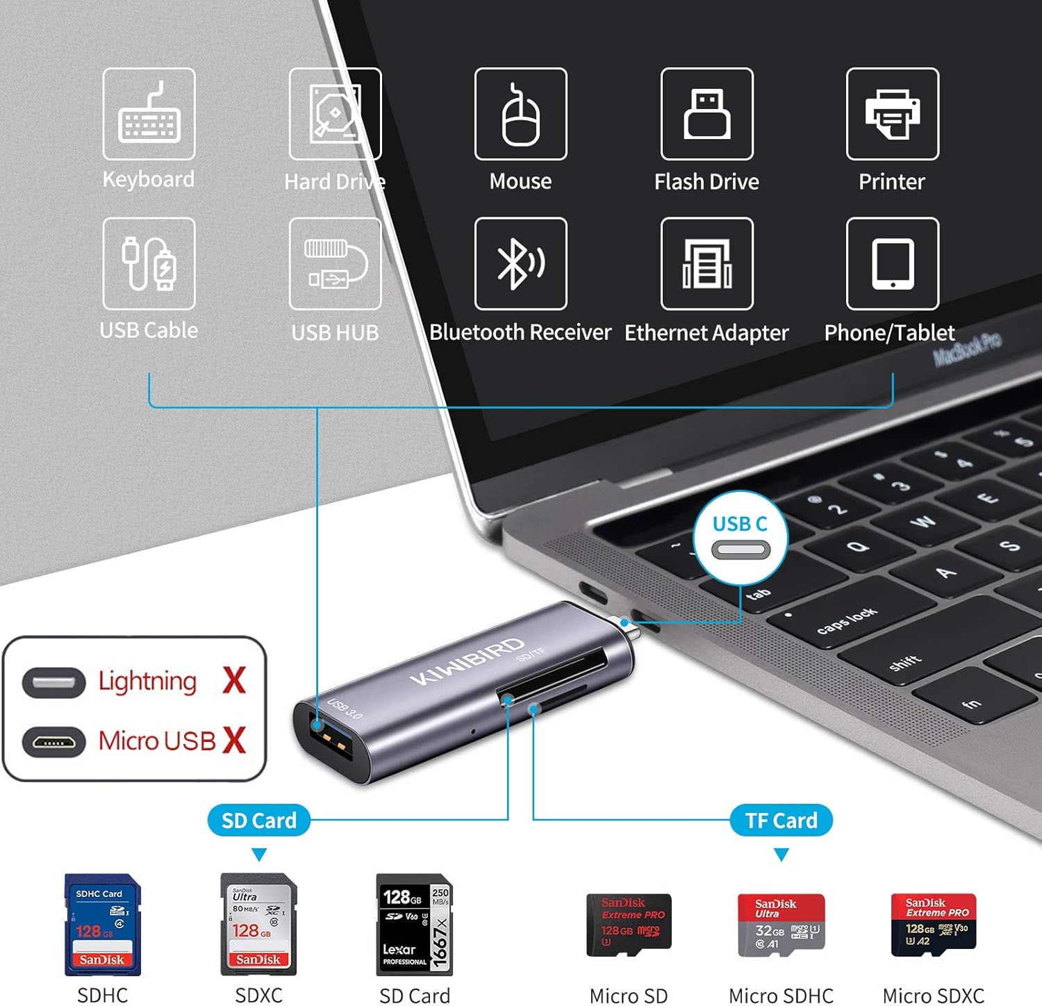USB C SD Micro SD TF Card Reader