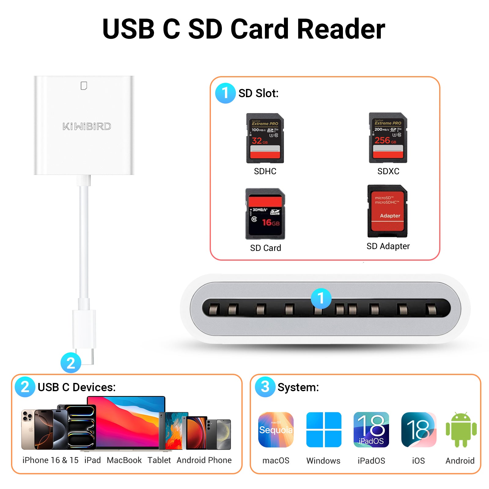 SD Card Reader USB C