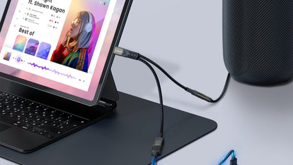 USB C to 3.5mm Jack Charger Adapter