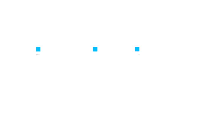 KiWiBiRD