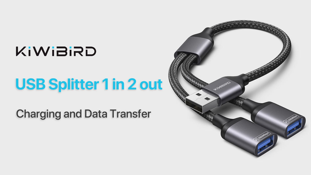 USB Splitter 1 zu 2