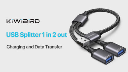 USB Splitter 1 zu 2